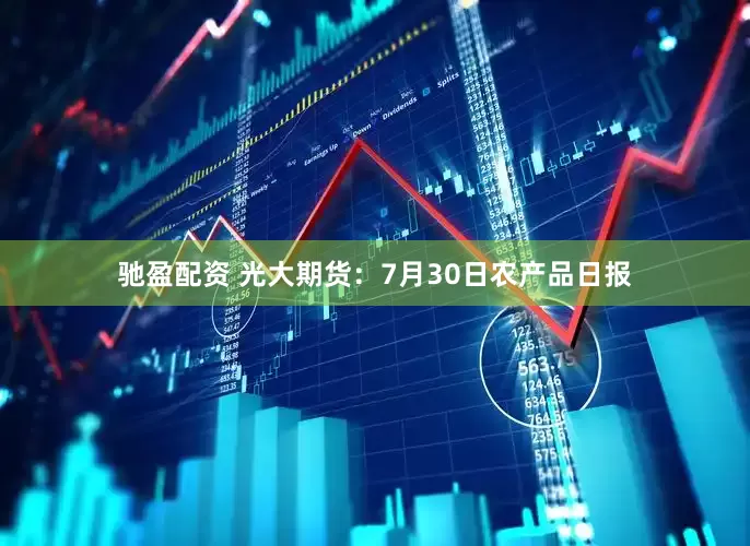 驰盈配资 光大期货：7月30日农产品日报